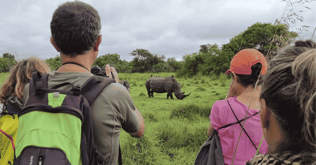 Excursionistas observando a uno de los rinocerontes liberados.