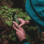 Persona usando su móvil para fotografiar vegetación rodeado de bosque.