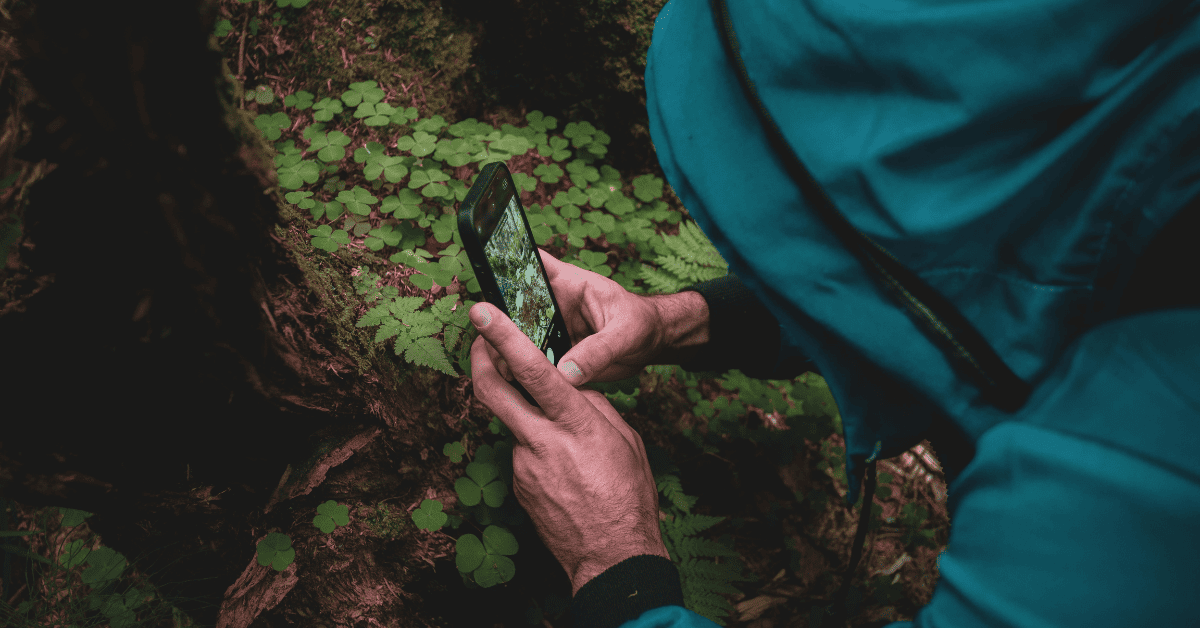 Persona usando su móvil para fotografiar vegetación rodeado de bosque.