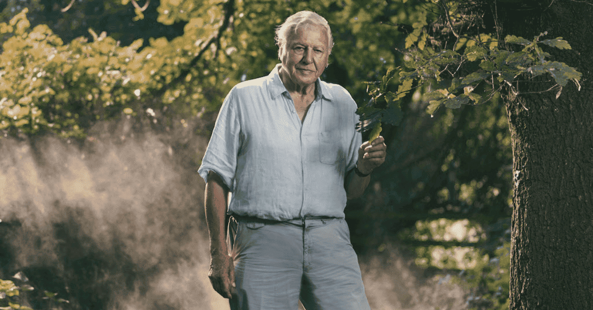 David Attenborough en la naturaleza.