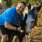 Joan Cedó con algunos de los burros que rescató del matadero