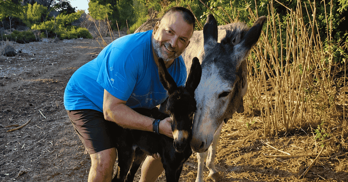 Joan Cedó con algunos de los burros que rescató del matadero